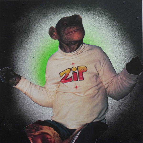 monkey